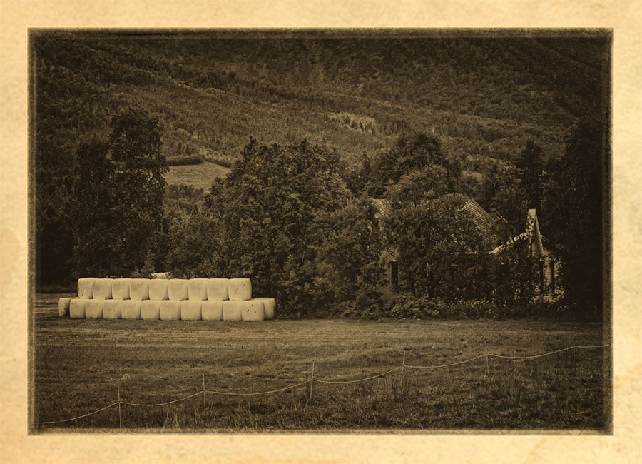 Field
