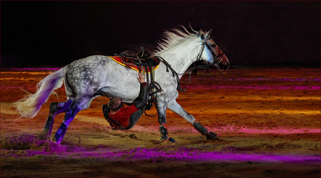 Fearless rider