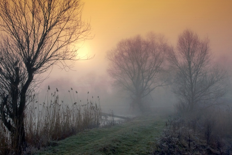 Foggy Morning