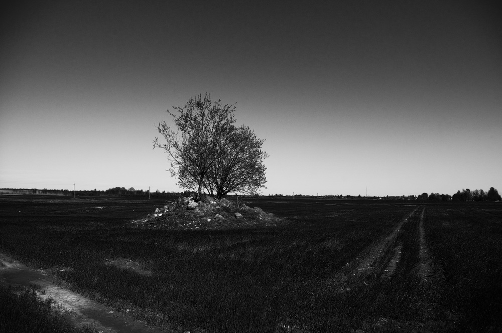 Two paths