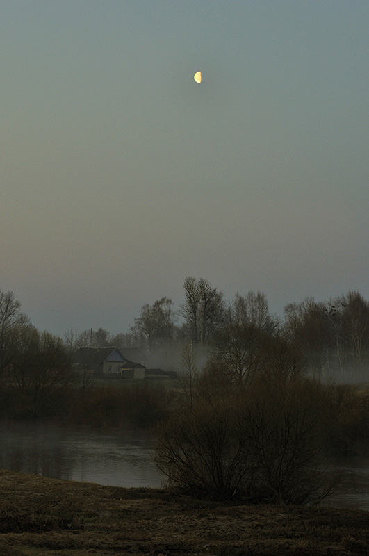 Foggy Morning