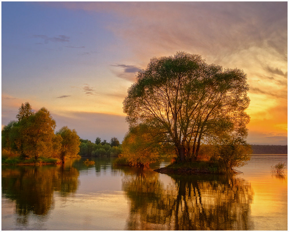 all the colors of autumn