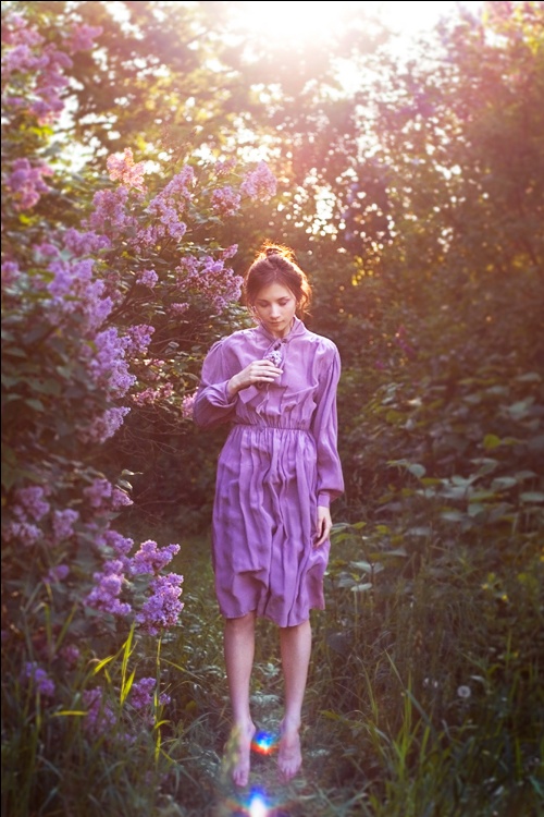 Flight lilac