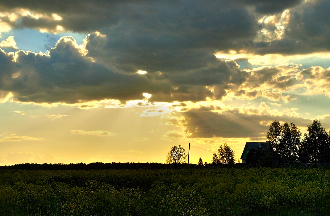 On the sunset