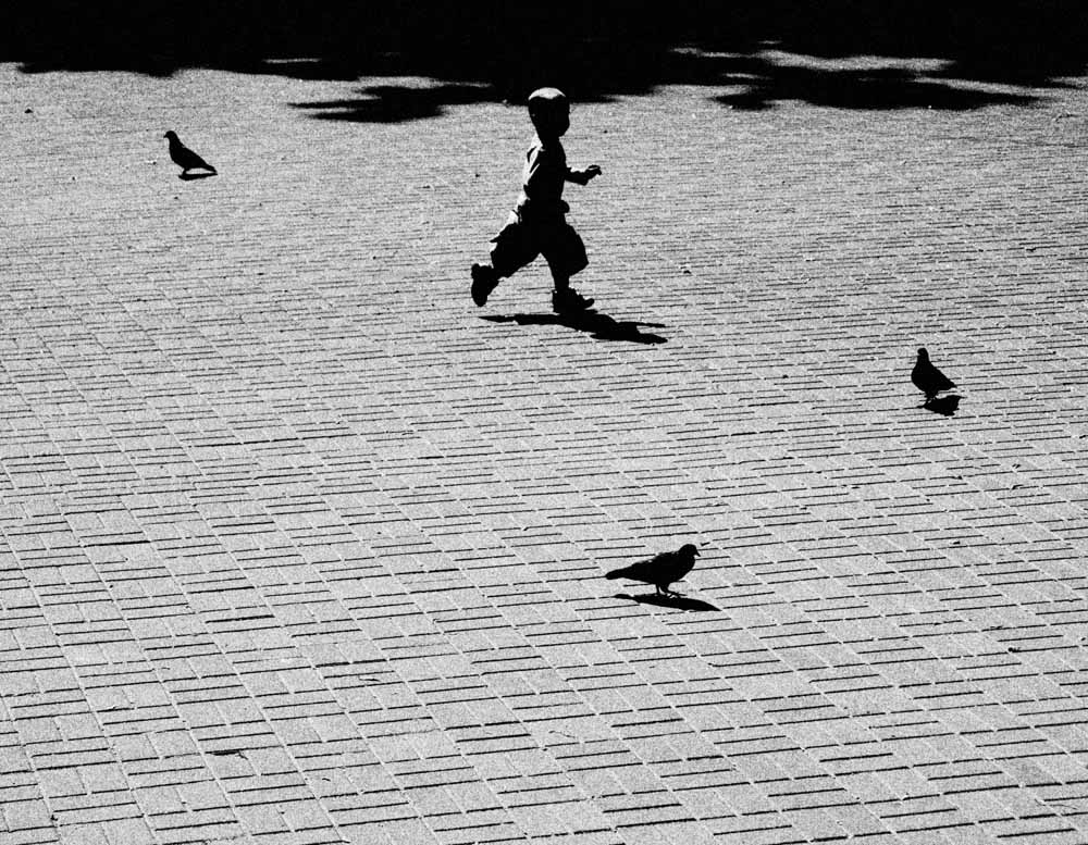 The boy and raven