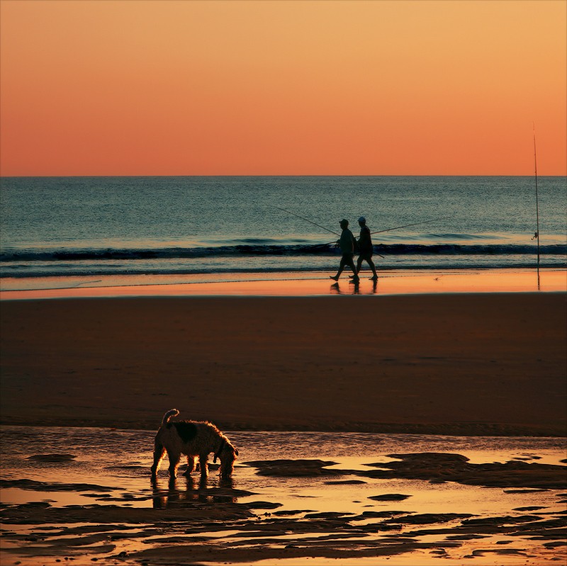 From Fishing