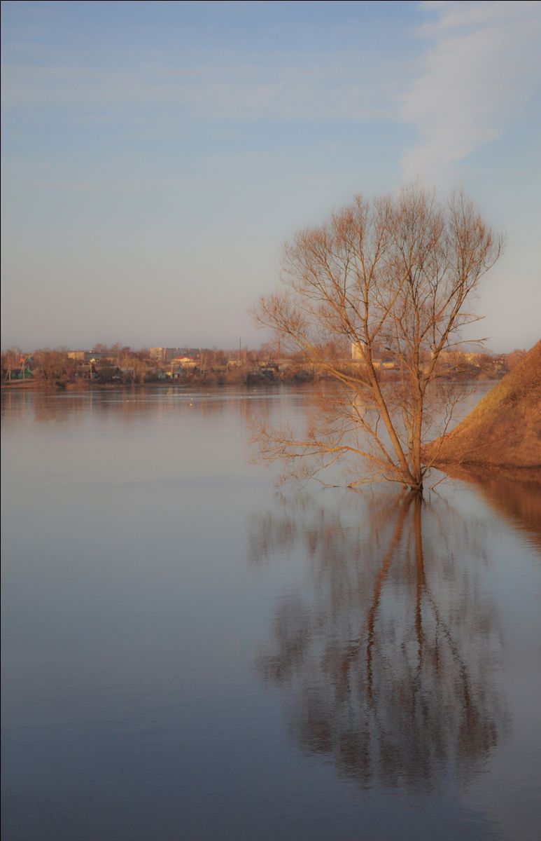 Spring reflection