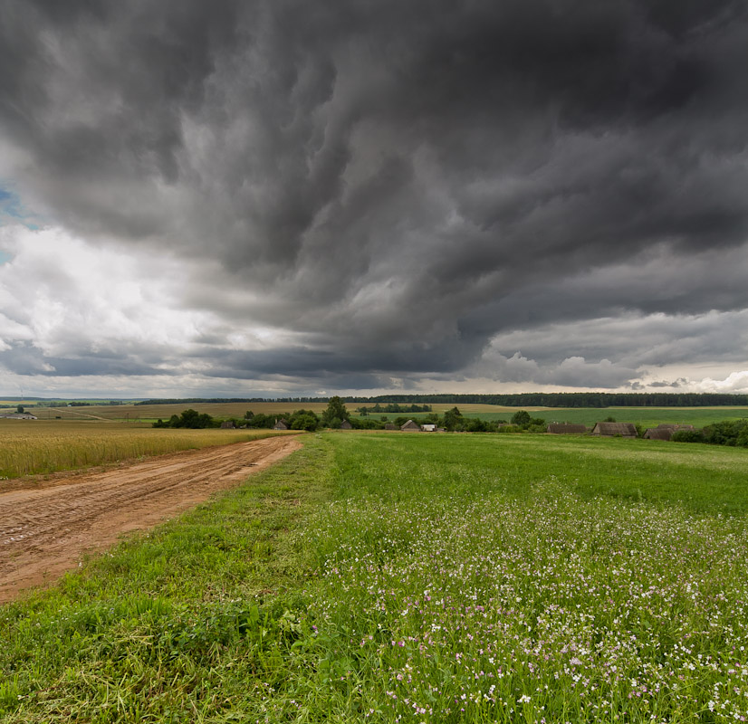 Before the rain
