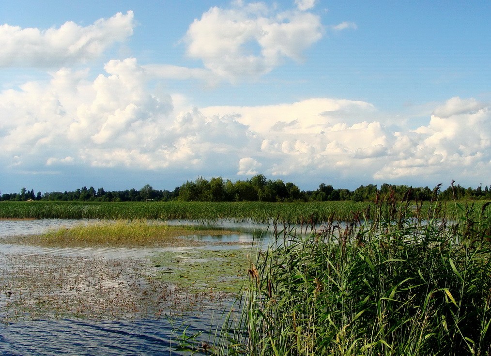 The edge of the lake.