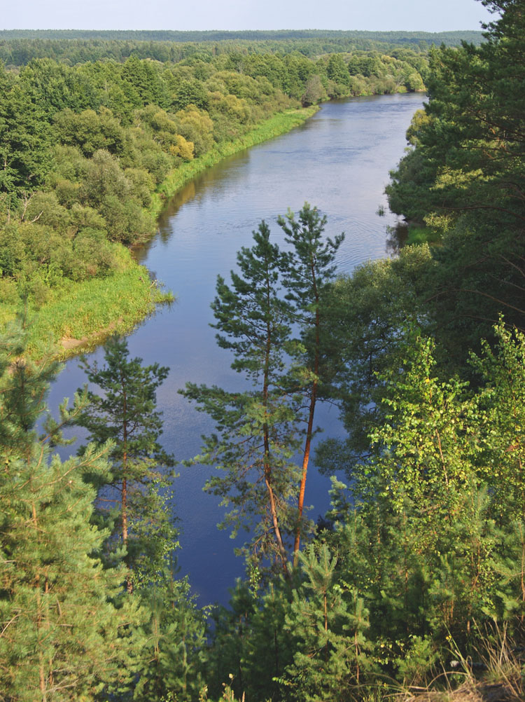 Berezin