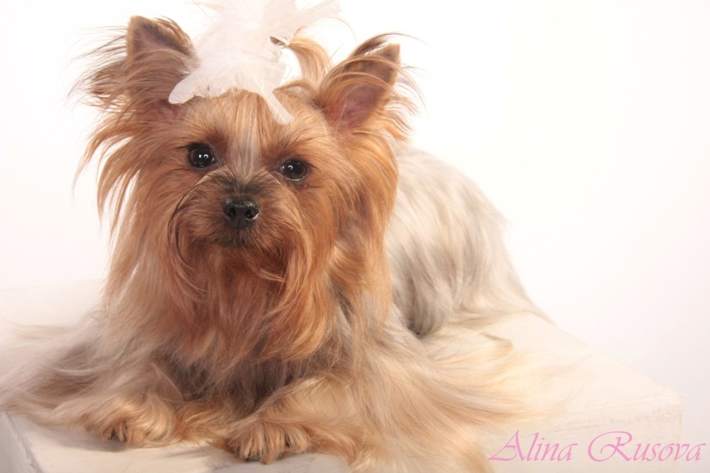 Her Majesty ...