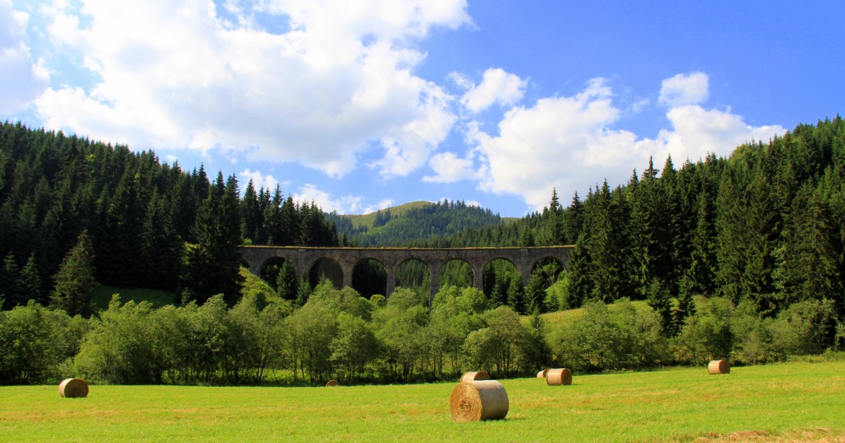 Forgotten Bridge.