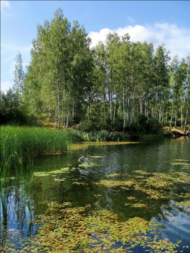 On the lake.