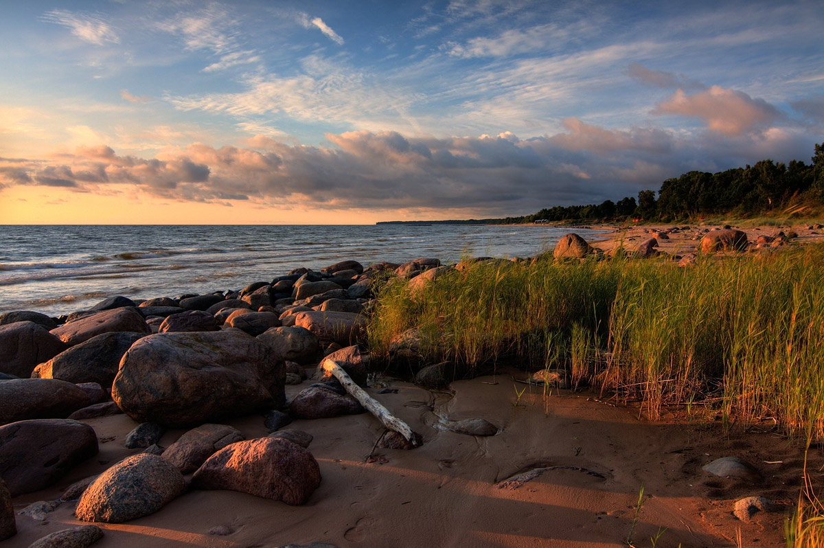 Финский залив балтийский берег. Балтика финский залив. Балтийский залив пейзаж. Дюны берегу Балтийского моря.