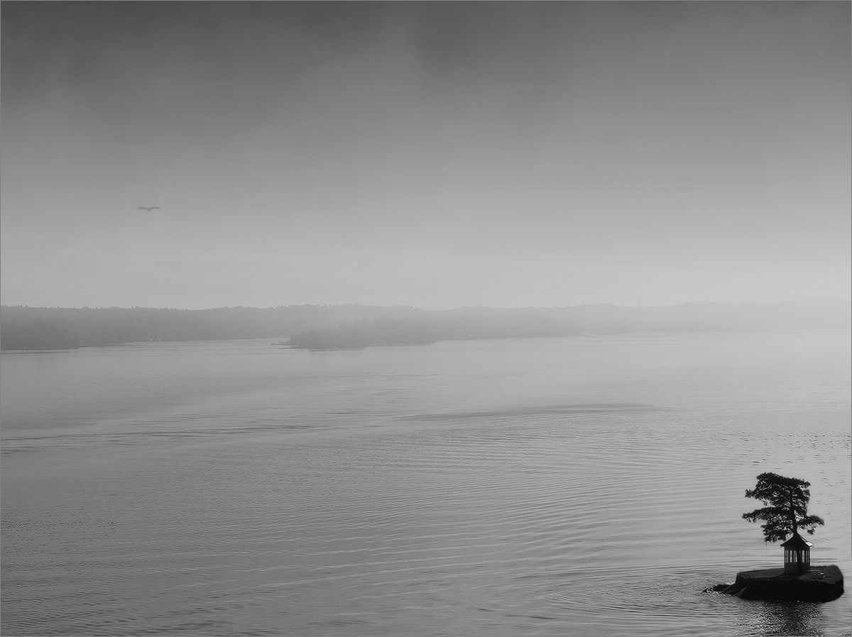 Foggy morning.