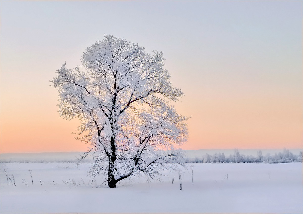 The cold breath of winter