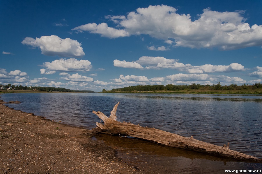 On the bank of the Volga