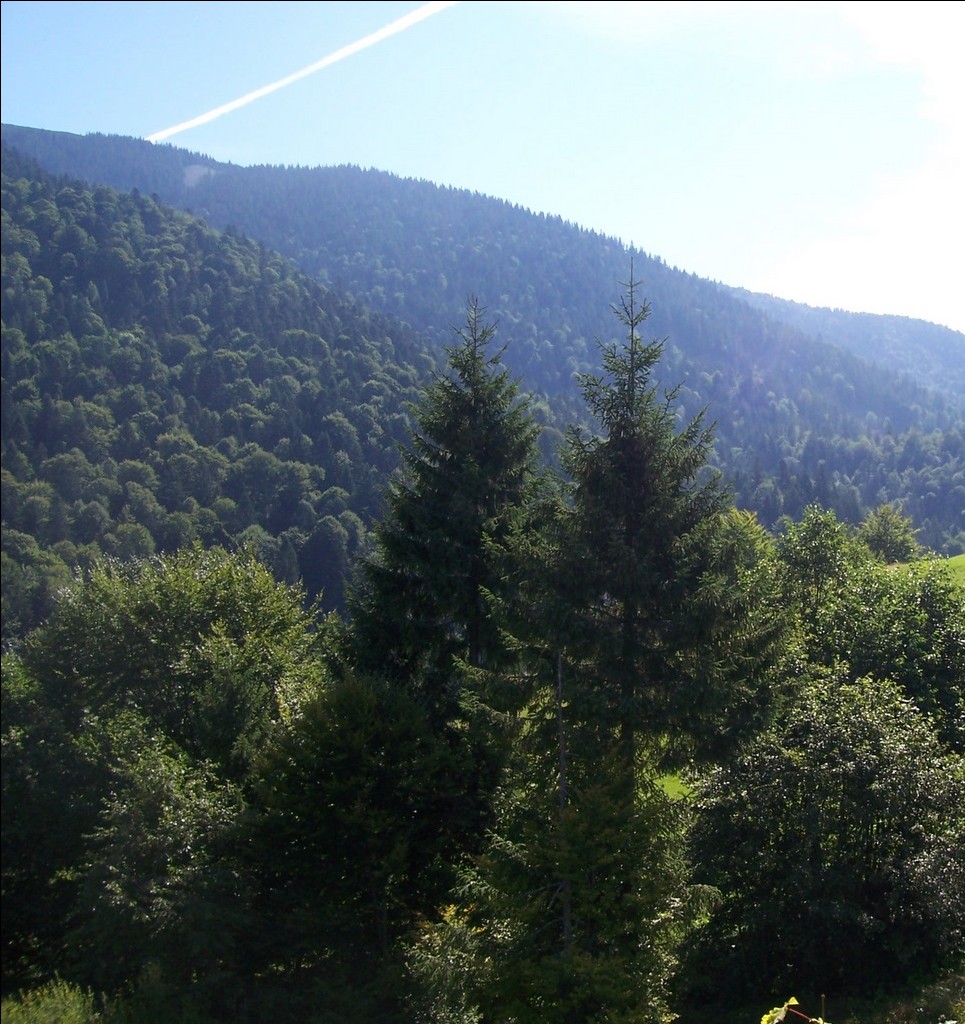 August, Transcarpathia
