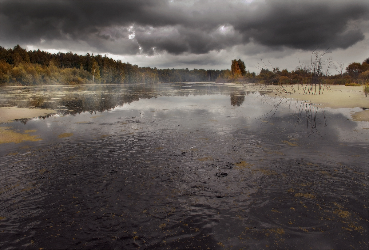 In the dark waters.