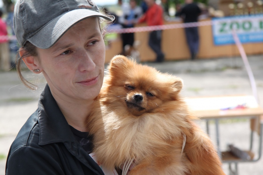 Interview at the dog show