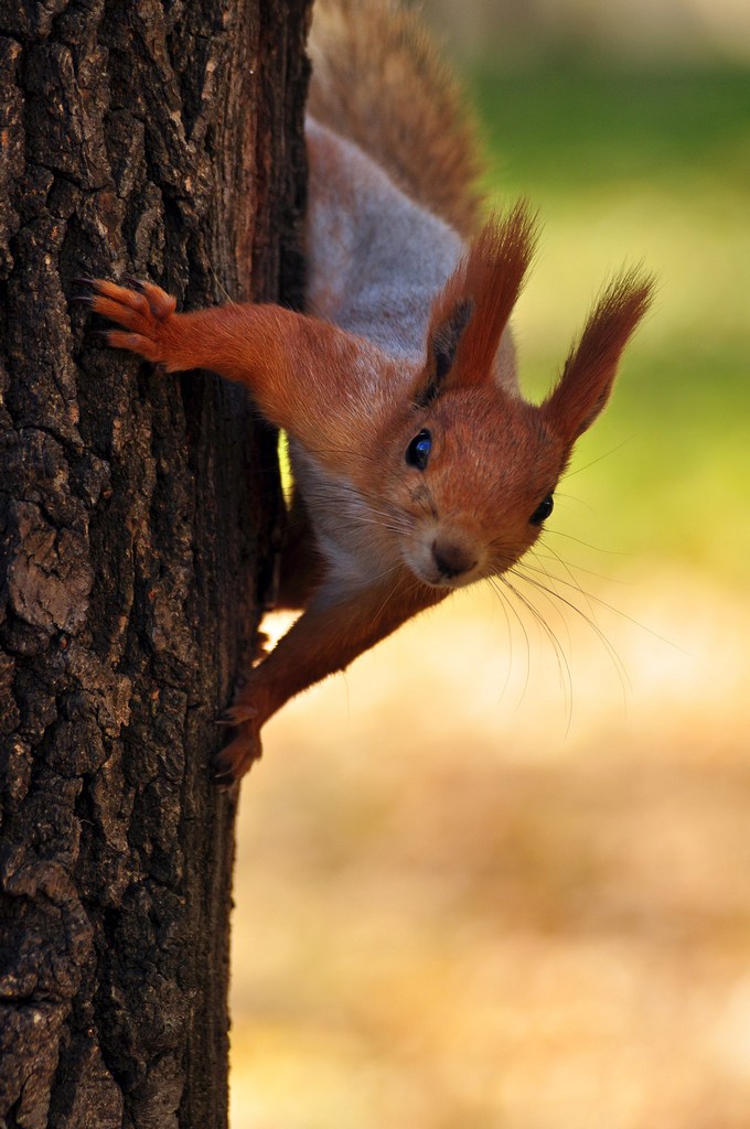 Curious ...