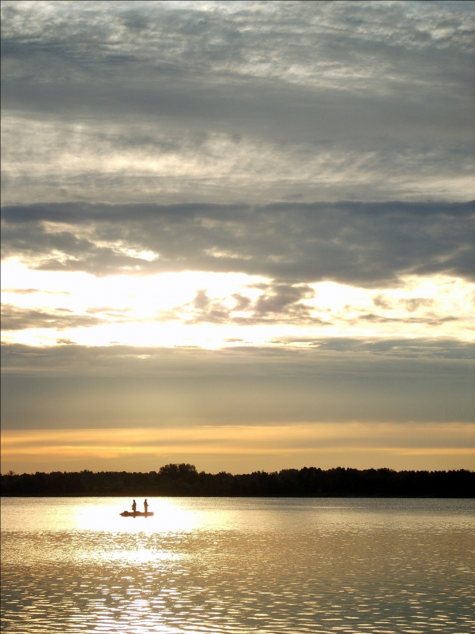 Dawn Gomel