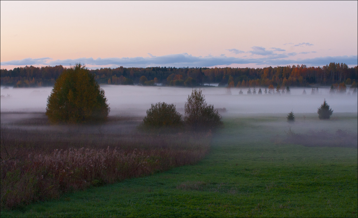 There's a fog