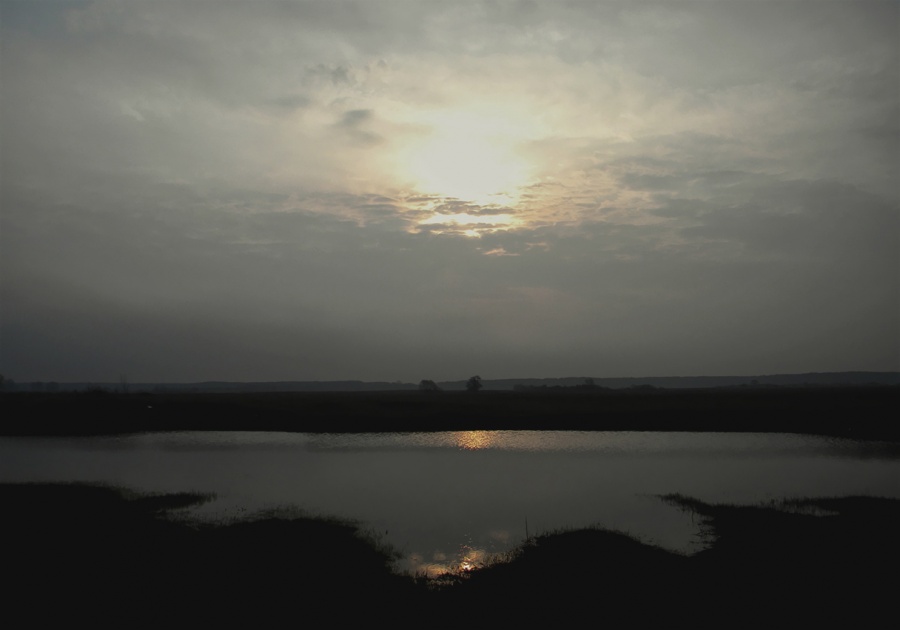 Soon the morning