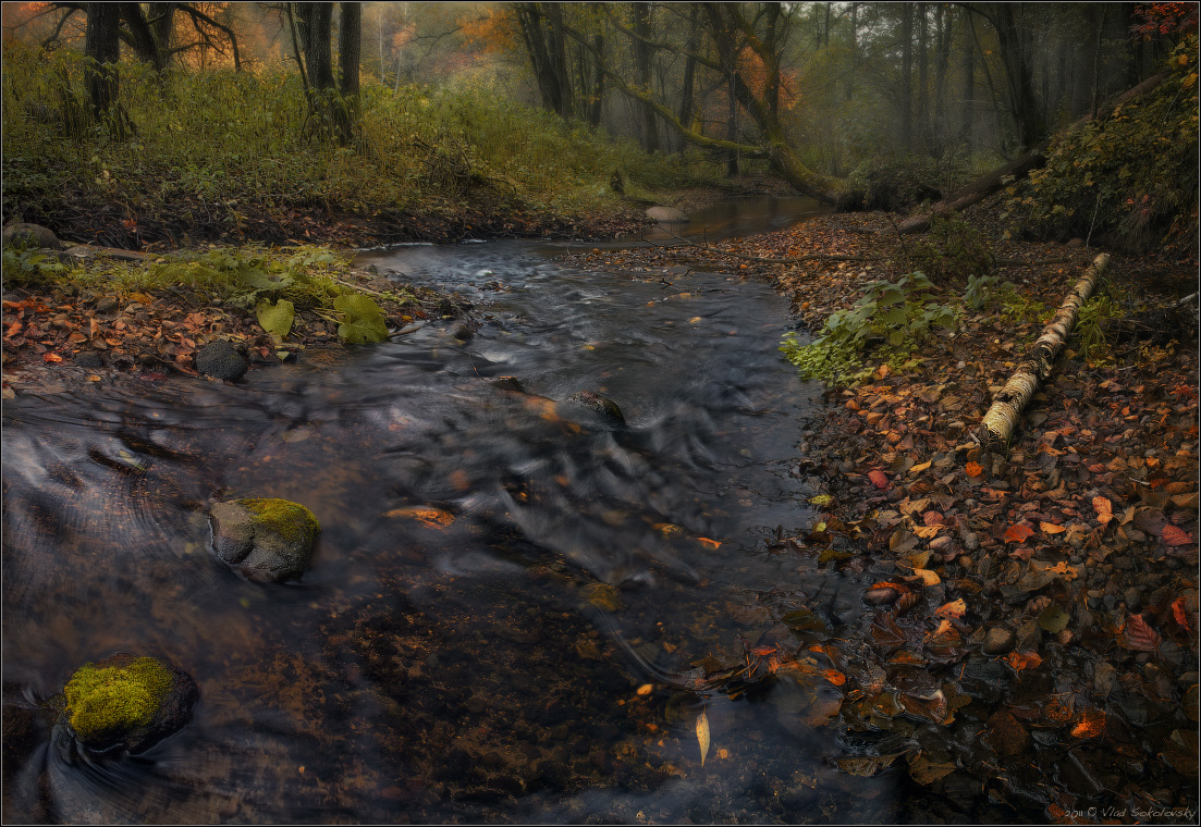 / The breath of autumn /