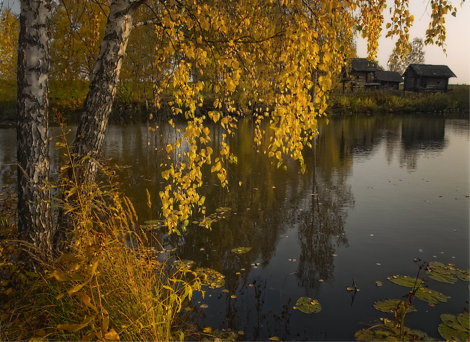 Fall grief