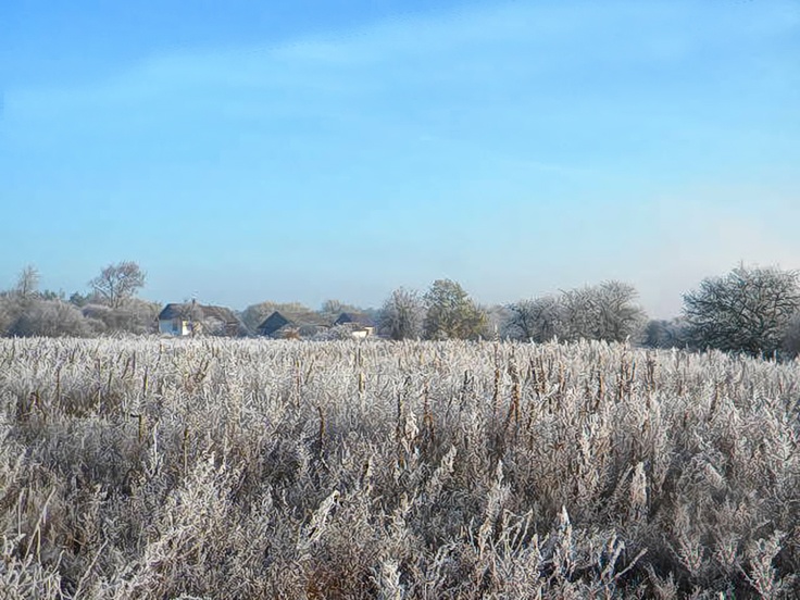 Breath of Winter