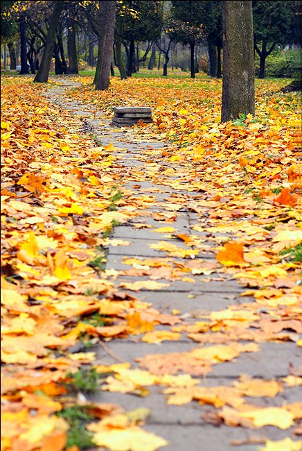 The road to autumn