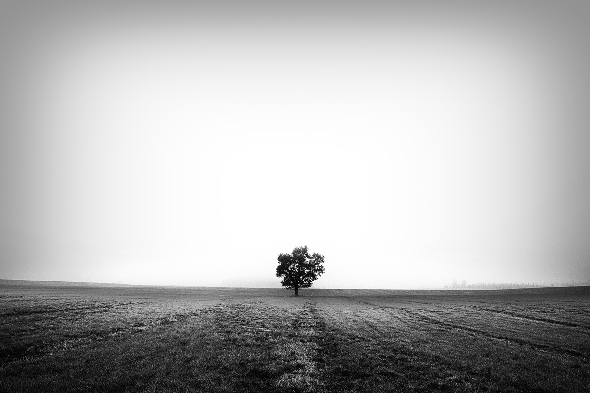 ..!..