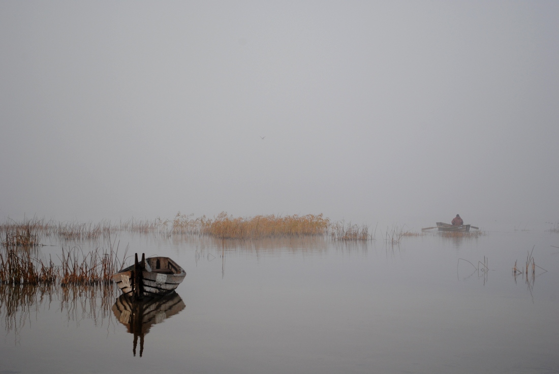 the mist ....
