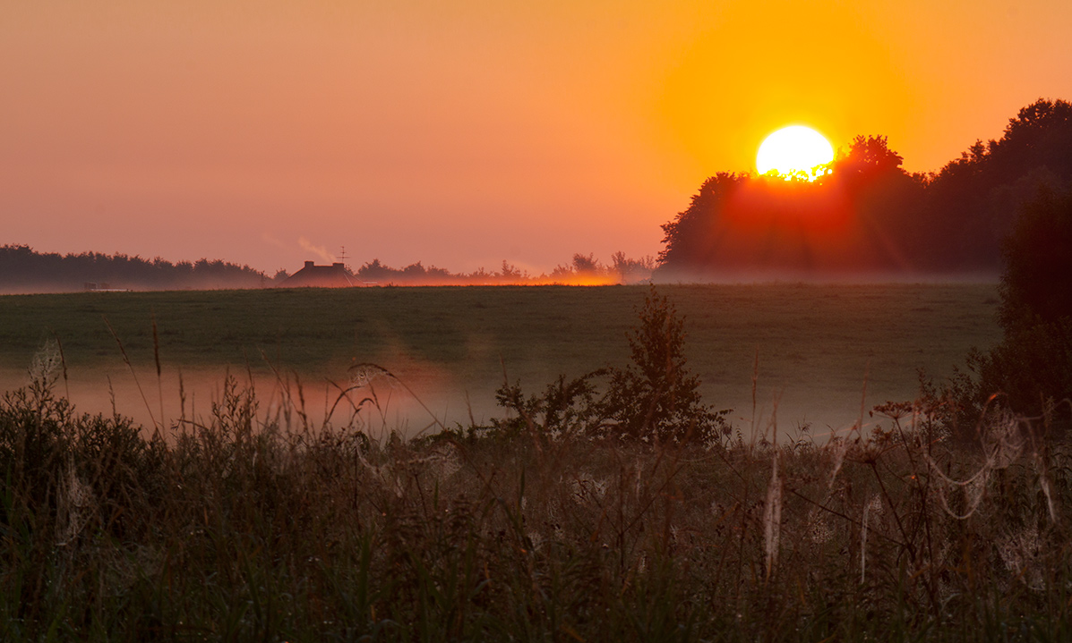 At dawn