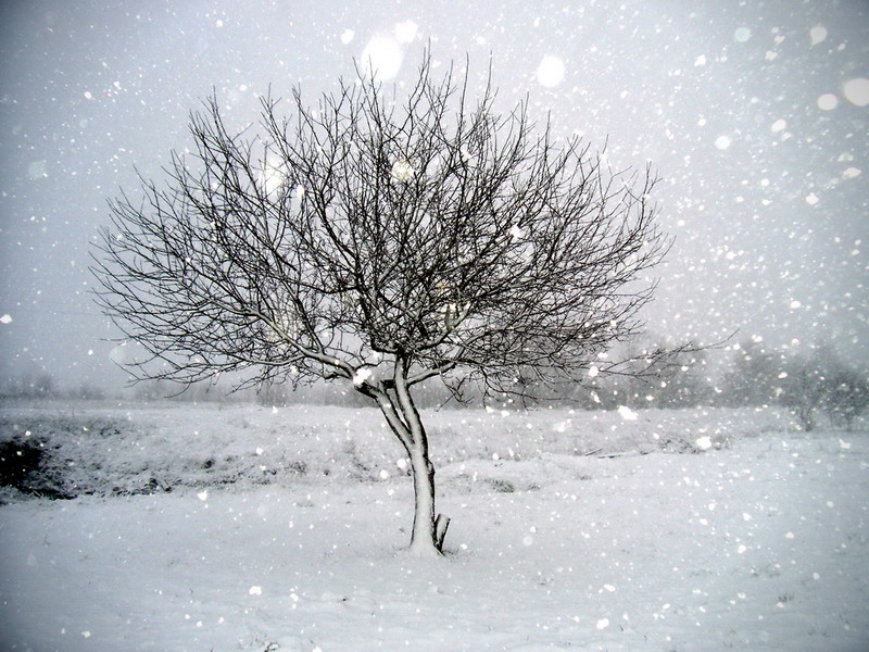 April snow