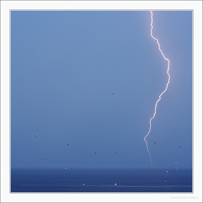 Thunderstorm and Gulls