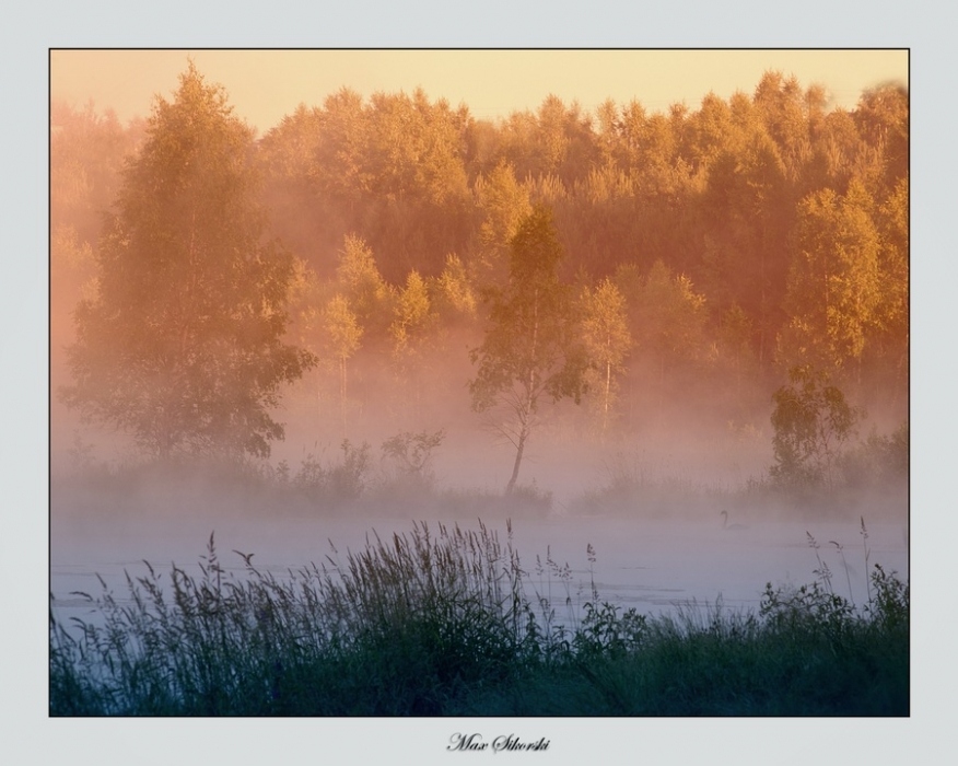 Foggy morning