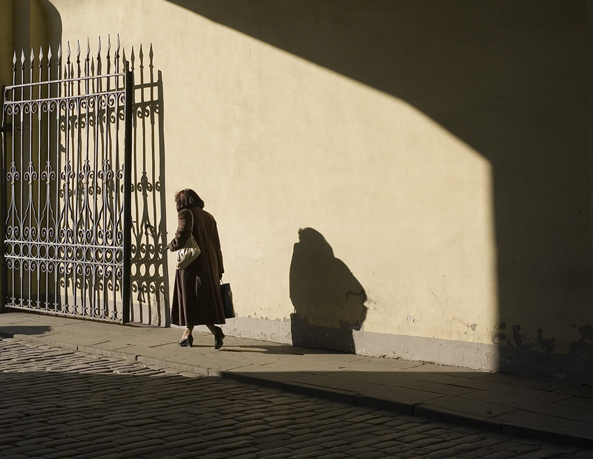Shadow of the future