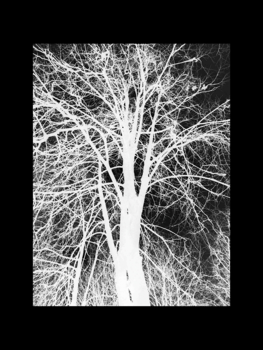 B'n'W № 1