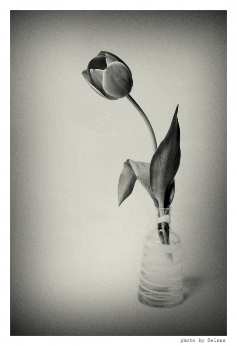 loneliness