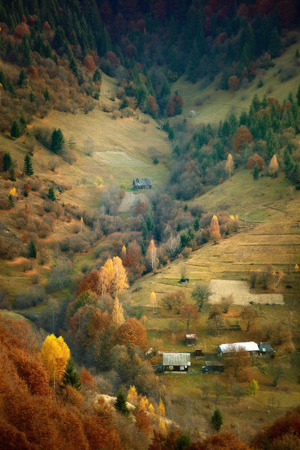On the slopes of the Carpathian