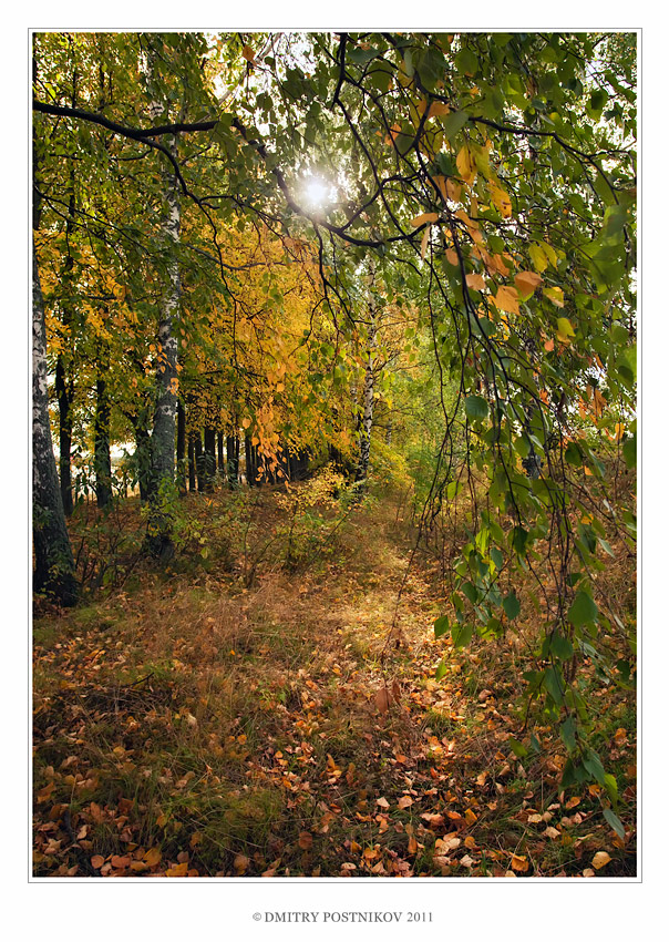 Autumn color