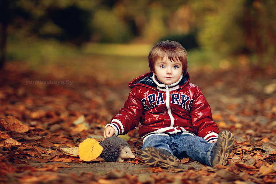 A boy and a hedgehog ...