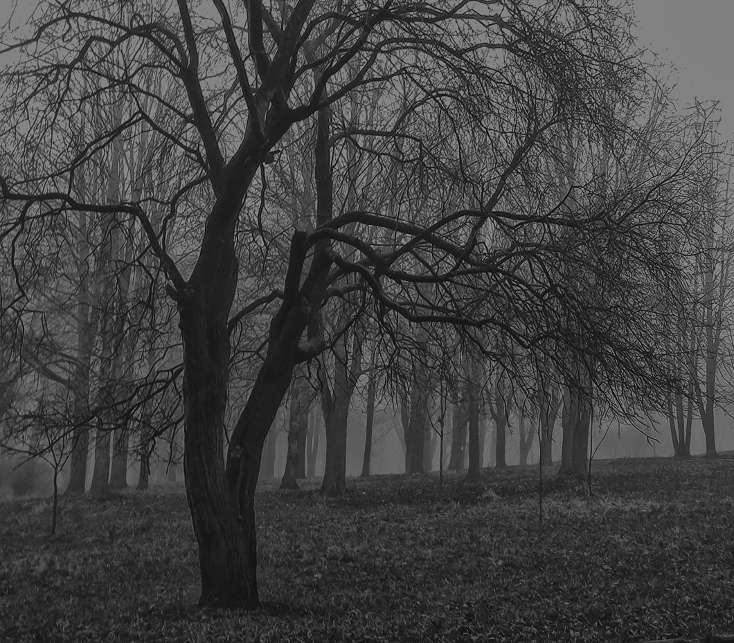 Wet month of November