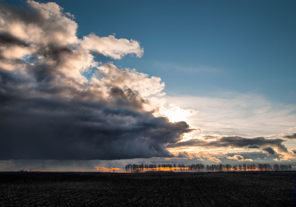 "The November Sky"