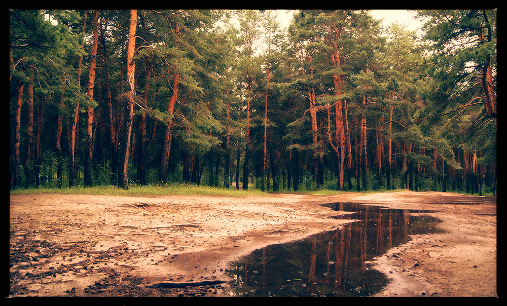 After the rain