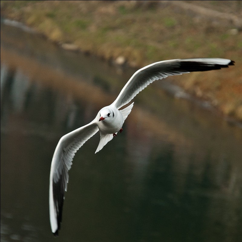 In the weightlessness of love fly to you ...