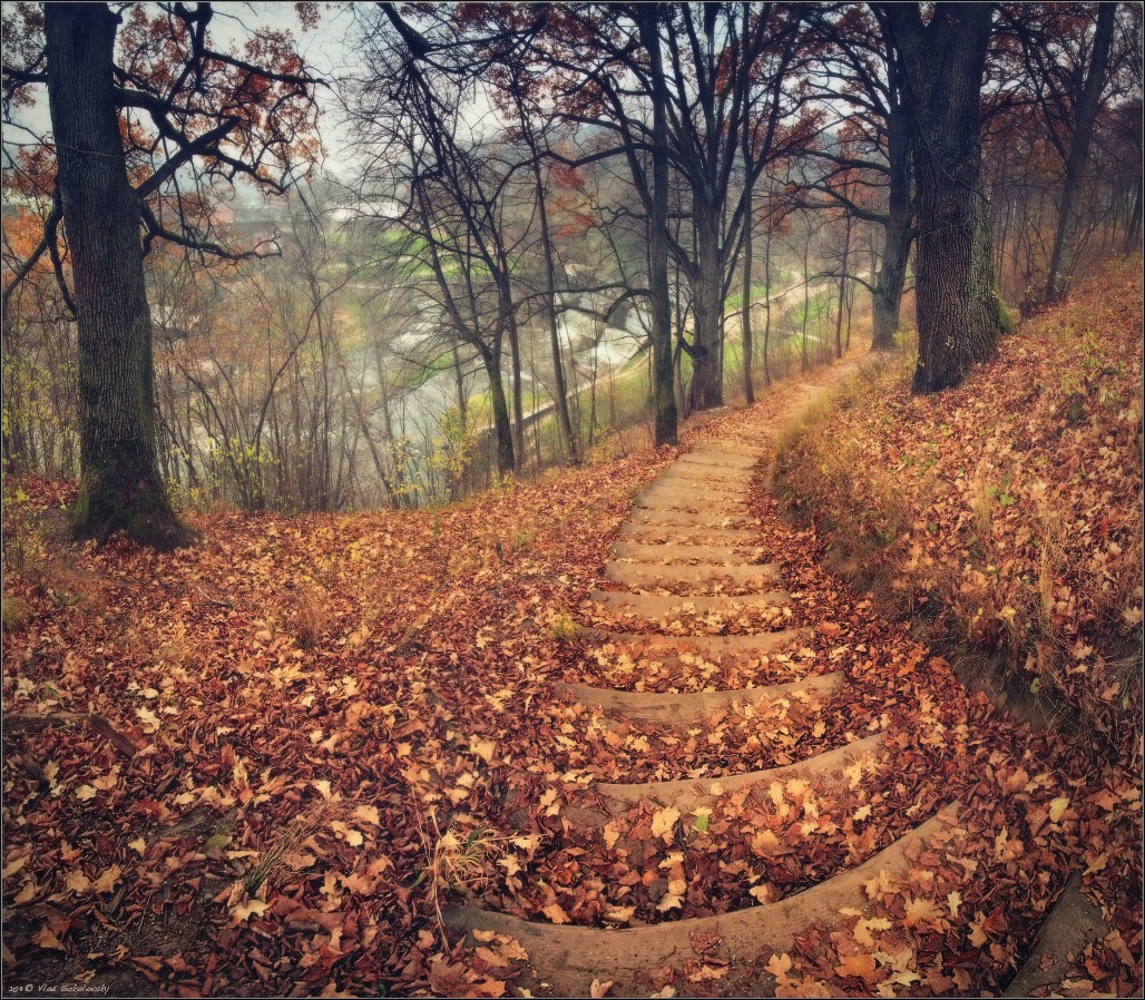/ ... On the stairs leading ..../