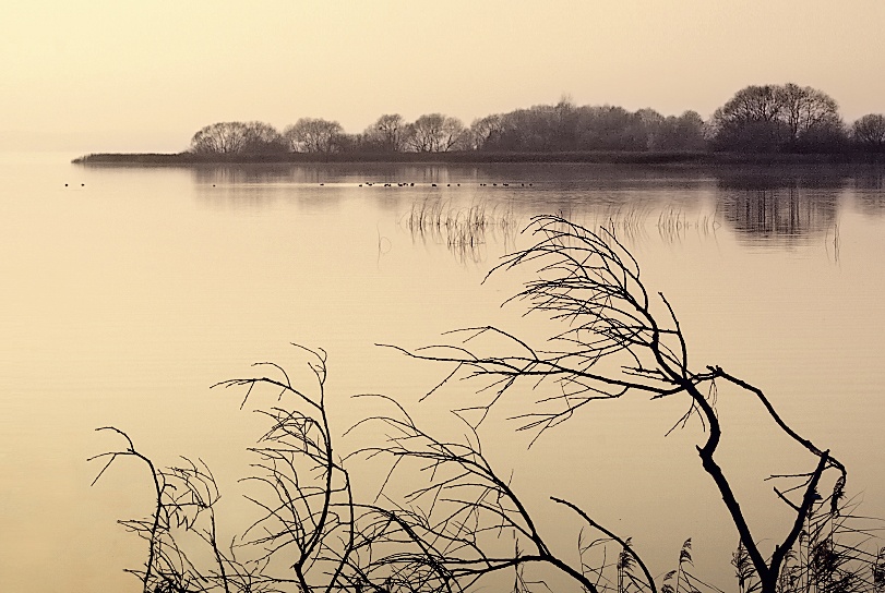 Autumn lull